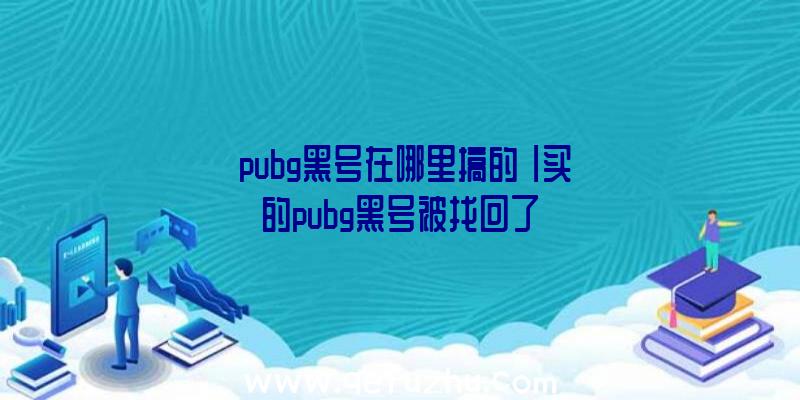 「pubg黑号在哪里搞的」|买的pubg黑号被找回了